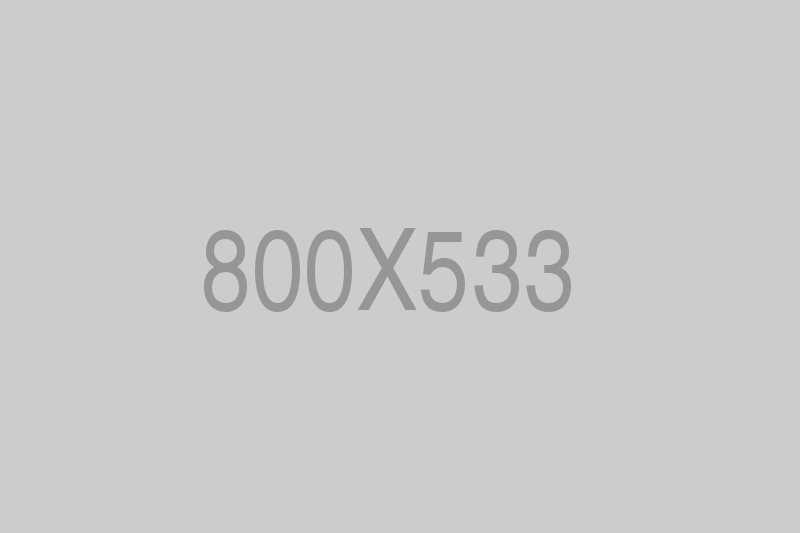QA Demo — Semua Tipe Lesson